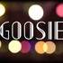 Goosie - Groupe swing pop pour vos animations et événements - Image 5