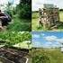 Jardin simply permaculture