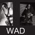 WAD  Groupe - Animation de vos soirées