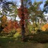 Dimanches d'Automne - Image 3