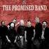 Nebraska and The Promised Band - Tribute Bruce Springsteen - Image 3
