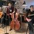 Monsieur Nours  - Chansons Swing  - Image 7