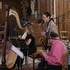 HarpiStick trio - Concert, Evènementiel, Animation - Image 6