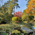 Dimanches d'Automne - Image 2