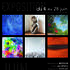 Exposition de Juin 2026 à la Galerie d’Art Wilson