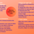 L'Atelier de KTY - Cours de modelage - Image 2