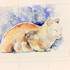 Laure Barontini - cours de dessin et de peinture