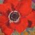 Isabelle Dansin - Cours de peinture 1 jour par mois: sam, dim, lun, mer - Image 11