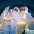 Cie Centaurée - Astraïa, échassiers blancs lumineux élégants - Image 5