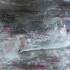 STAGE GEL PRESS - Image 11
