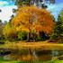 Concours photos "Automne"