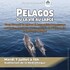 Pelagos ou la vie au large : diaporama interactif
