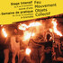 Stage feu, mouvement, objets et collectif d'Automne 2026 - Image 2