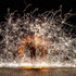 Nico le Jongleur de Feu - Flamborius le sorcier des flammes – photo 5