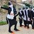 A voir! Cie Dézinguée - "THE PENGUINS "-Déambulation musicale chorégraphiée - Image 5