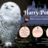 GUILLERMIN MUSIQUE - Spectacle HARRRY POTTER 