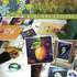 Ateliers Sandra Carron - Ateliers Adultes - Cours de dessin, peinture, pastel... - Image 2