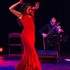Azafran Flamenco  - Danse & Musique  - Image 5