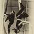 Lilasoi Danse et Tissu Aérien - Cours Adultes débutants Samedis Matins  - Image 5