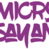 MicroSayan - LIVE ELECTRO ROCK PUNK - Image 2
