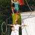 les acrobates amoureux - Home Sweet Home - Image 3