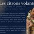 KHRONOS PRODUCTIONS - Votre partenaire pour des spectacles musicaux inoubliables - Image 26