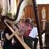 HarpiStick trio - Concert, Evènementiel, Animation - Image 4