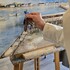 Artistes Peintres Côte d’Amour APCA - atelier de peinture en petits groupes tous niveaux 