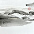 Exposition peintures « Paysages Imaginaires » - Image 5