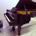 Vends piano  de concert  Steinway & Sons  Mod. D   2m74