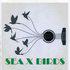 SeaXbirds - formation POP ROCK, 