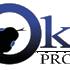 Oki Prod - Spectacle, Animation, Concert - Image 35