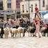 Compagnie Dog Trainer - La Famille Déprés et les Moutons d'Ouessant - Image 4