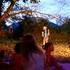 Les Chouettes Voyageuses - Spectacles et performances Clown/Danse