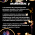 Cie Dark Paillettes - BrannKrigere Spectacle de feu - Image 2