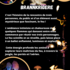 Cie Dark Paillettes - BrannKrigere Spectacle de feu - Image 3