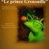 "Le prince Grenouille" - Spectacle interactif et musical pour petits et grands, - Image 11