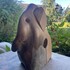 WEEK-END  STAGE   Sculpture ou modelage  - Image 17