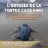 L’odyssée de la tortue caouanne