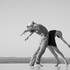 Compagnie Accords Dansés - Danse néo-classique et contemporaine
