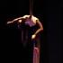 Manon Briaumont - Artiste contorsionniste et aérienne - Image 22