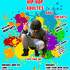 VINCE NOT - COURS DE DANSE HIP HOP ADULTES