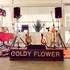 GOLDY FLOWER - Duo  Musical Pop-Rock-Folk-Country - Image 8
