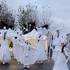 Histoire de voir échassiers  - Échassiers blancs lumineux 