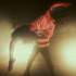 Show Dance - Show Acrobatique - Image 9