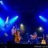 djangophil - jazz manouche