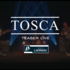 TOSCA -33 - Concert Pop-Rock dynamique et sincère - Image 3