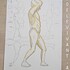 Modèle vivant masculin pour atelier, école ou association - Image 9