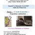 TORTOS A LA VIAILLE ! – photo 4