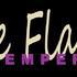 Cie Flamenca Temperamento Andaluz - Spectacles de Flamenco et concert musical - Image 9